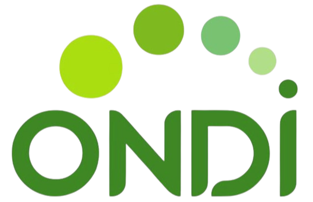 Partner 2 Logo